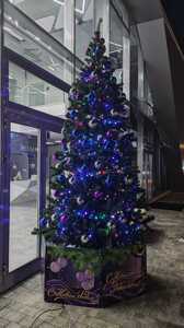 image-02-12-22-02-56-2