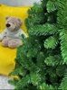 Ель «Байкальская» 1,2 м