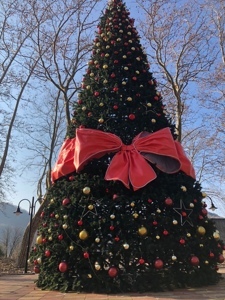 image-28-12-22-04-55