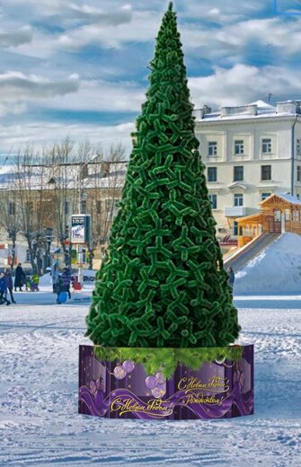 Сосна ствольная «Альпийская»